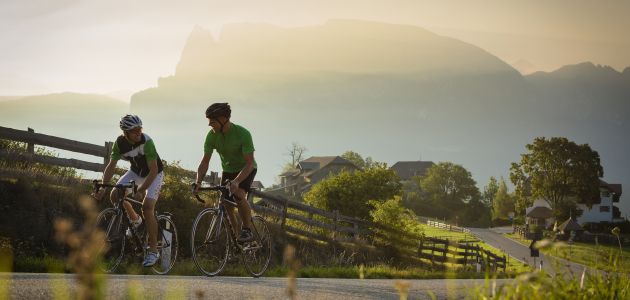 Bike 3 Bike 3