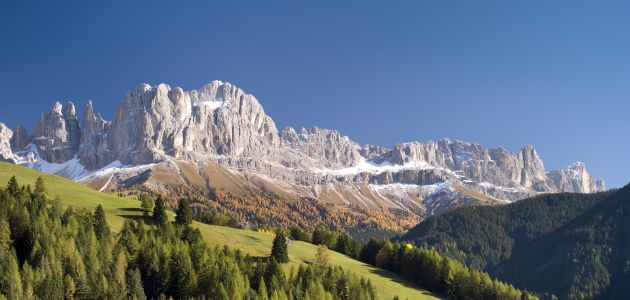 Rosengarten Sommer